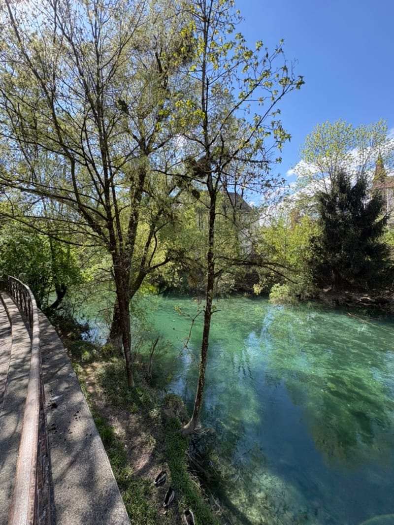 Photo du bien - Annecy